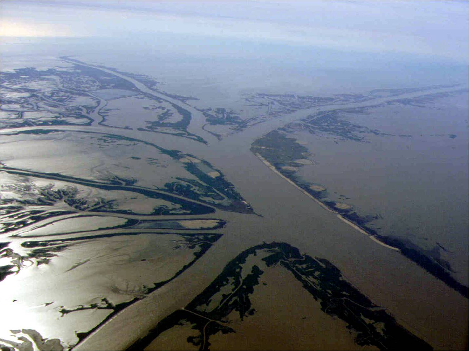 Приток крупнейшей реки северной америки. Дельта Миссисипи. Река Америки Миссисипи. Река Миссисипи и Миссури. Дельта Миссисипи Устье реки.